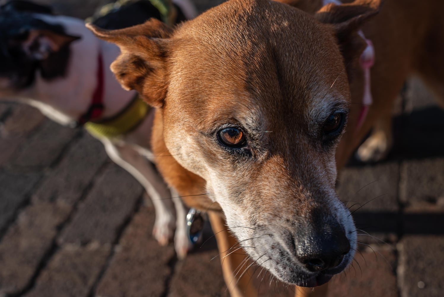 PHOTOS: Did we spot you at Out on 5th in The Oregon District?