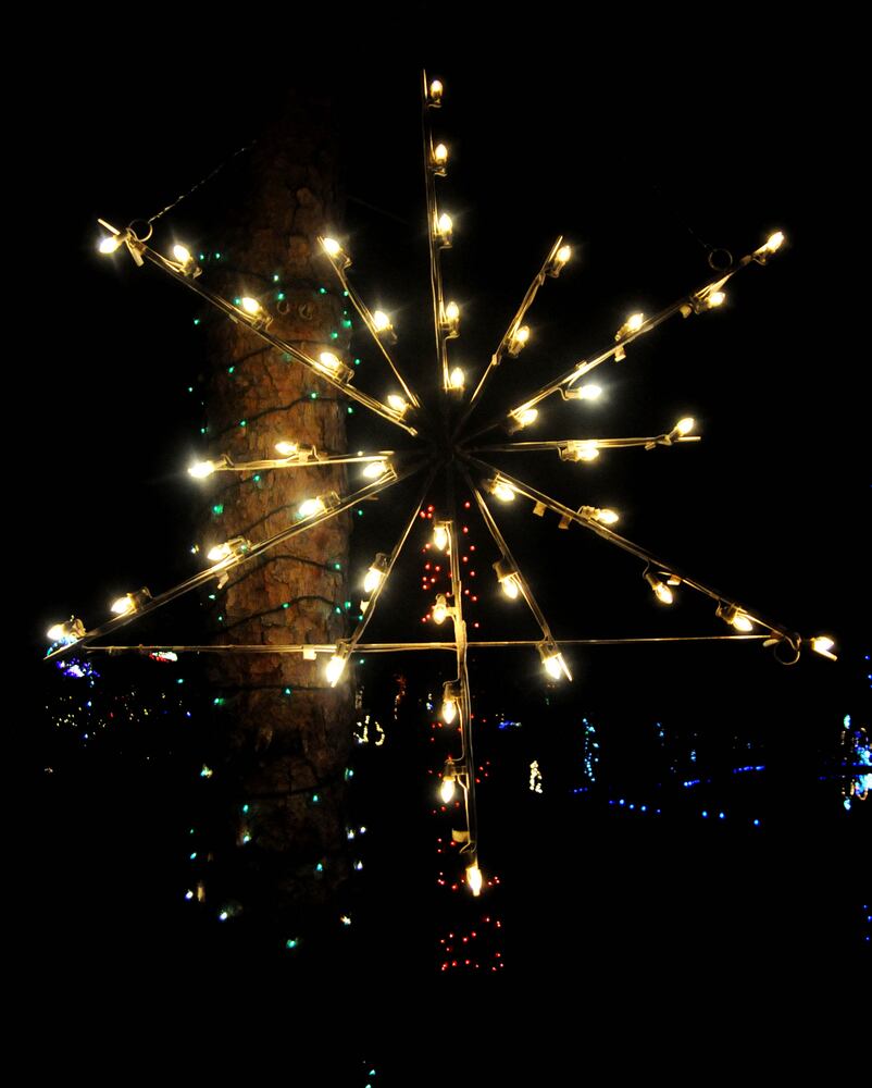 PHOTOS: Did we spot you at opening night of Woodland Lights?
