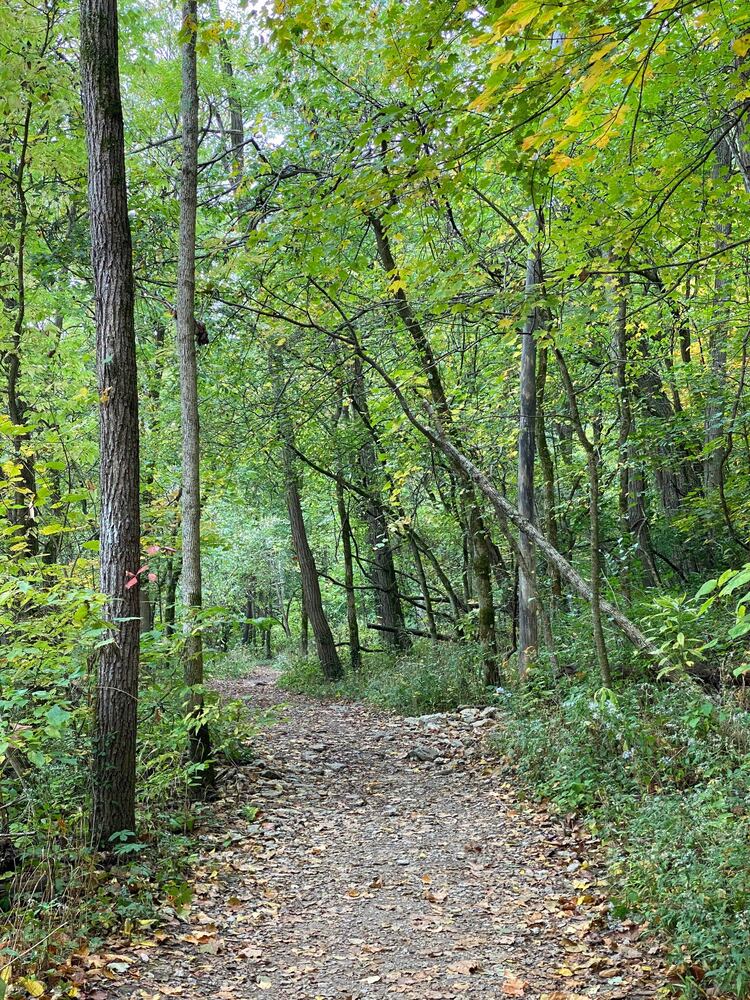 Narrows Reserve