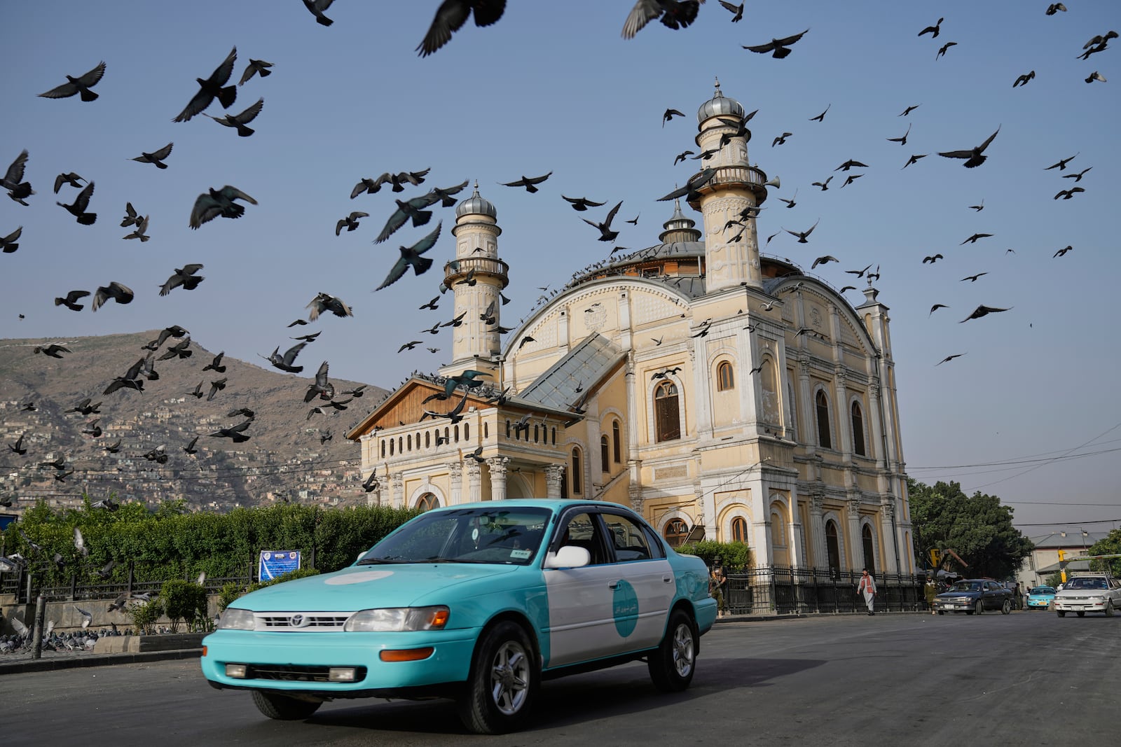 Pigeons fly outside the Shah-Do Shamshira Mosque during the Eid al-Adha prayer in Kabul, Afghanistan, Saturday, June 7, 2025. (AP Photo/Ebrahim Noroozi)