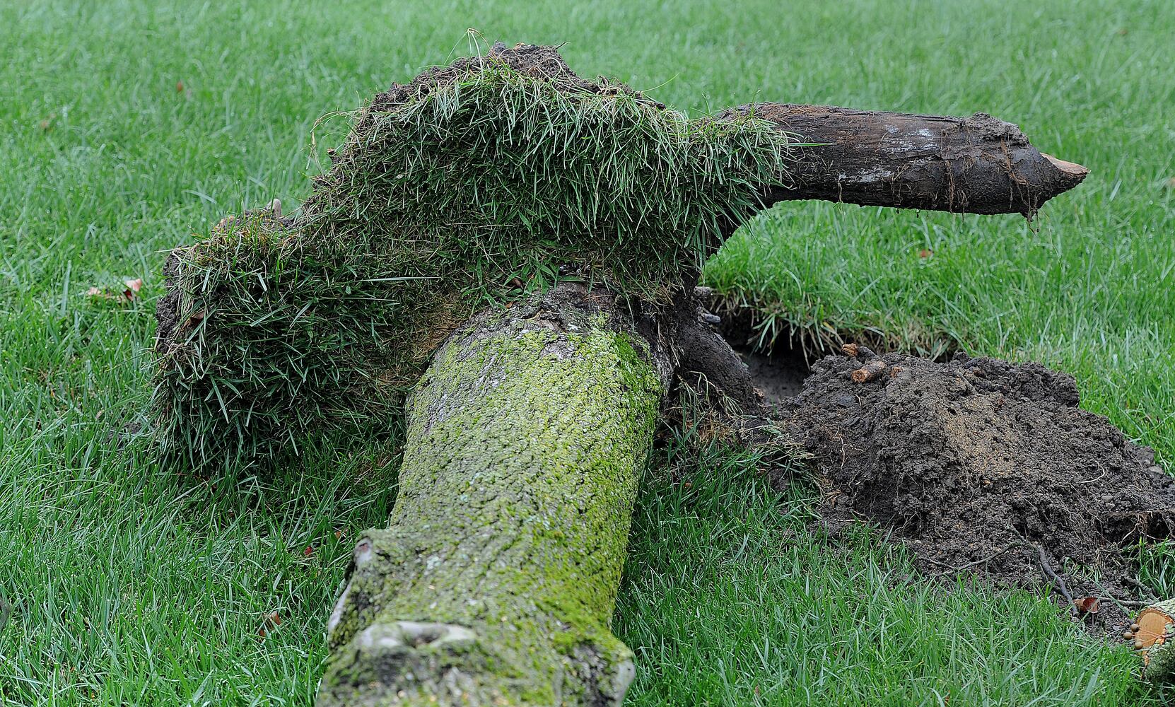 Storm damage