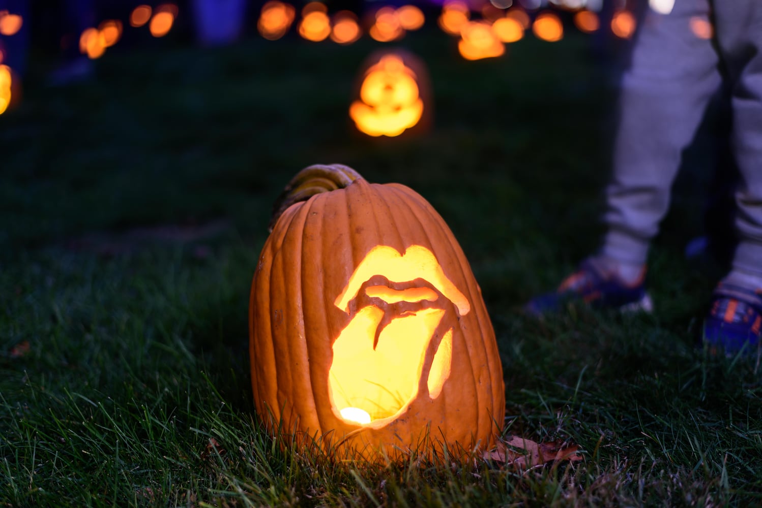 PHOTOS: 2025 Stoddard Avenue Pumpkin Glow