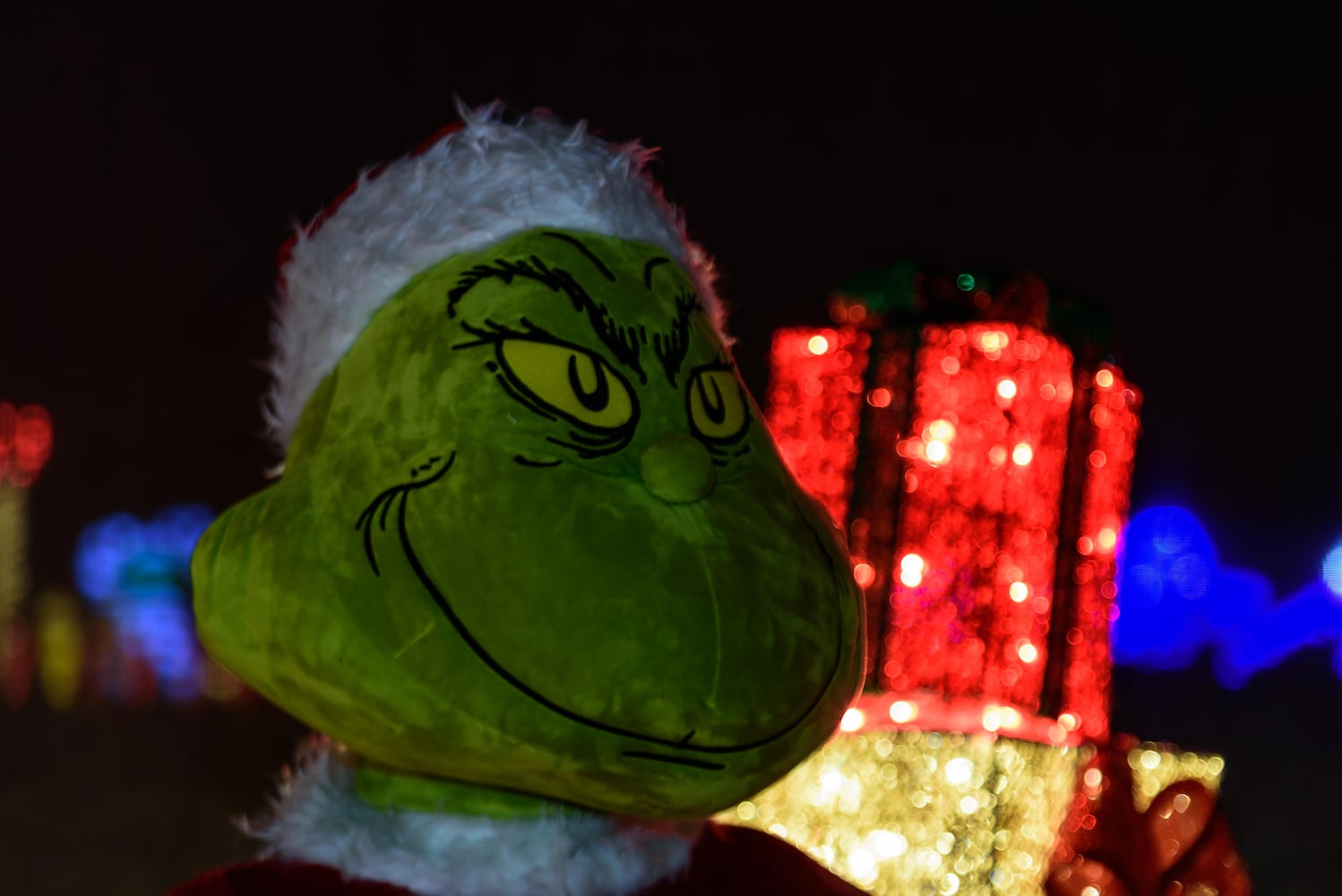 PHOTOS: Christmas Light Spectacular at Cedar Springs Pavilion