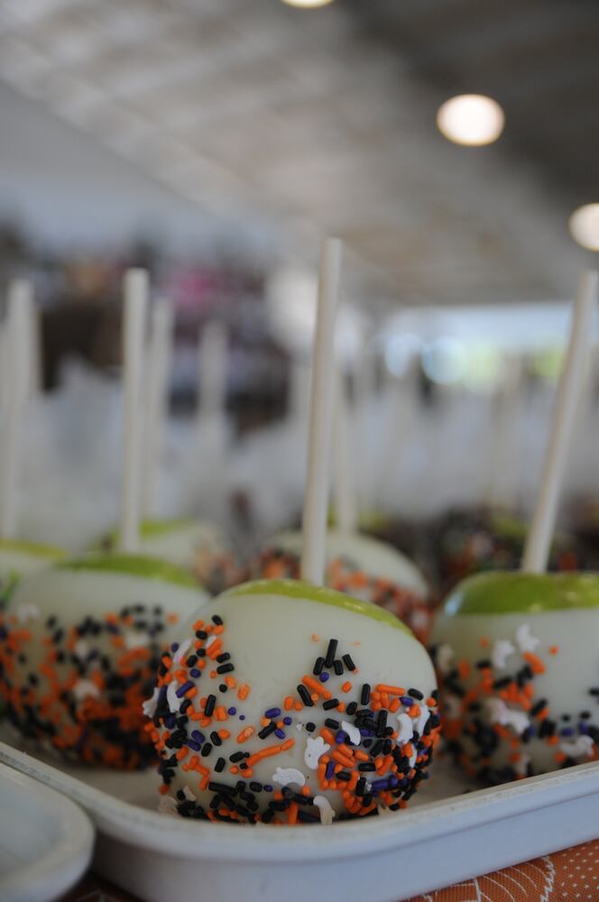 PHOTOS: Did we spot you at Lebanon Country Applefest?