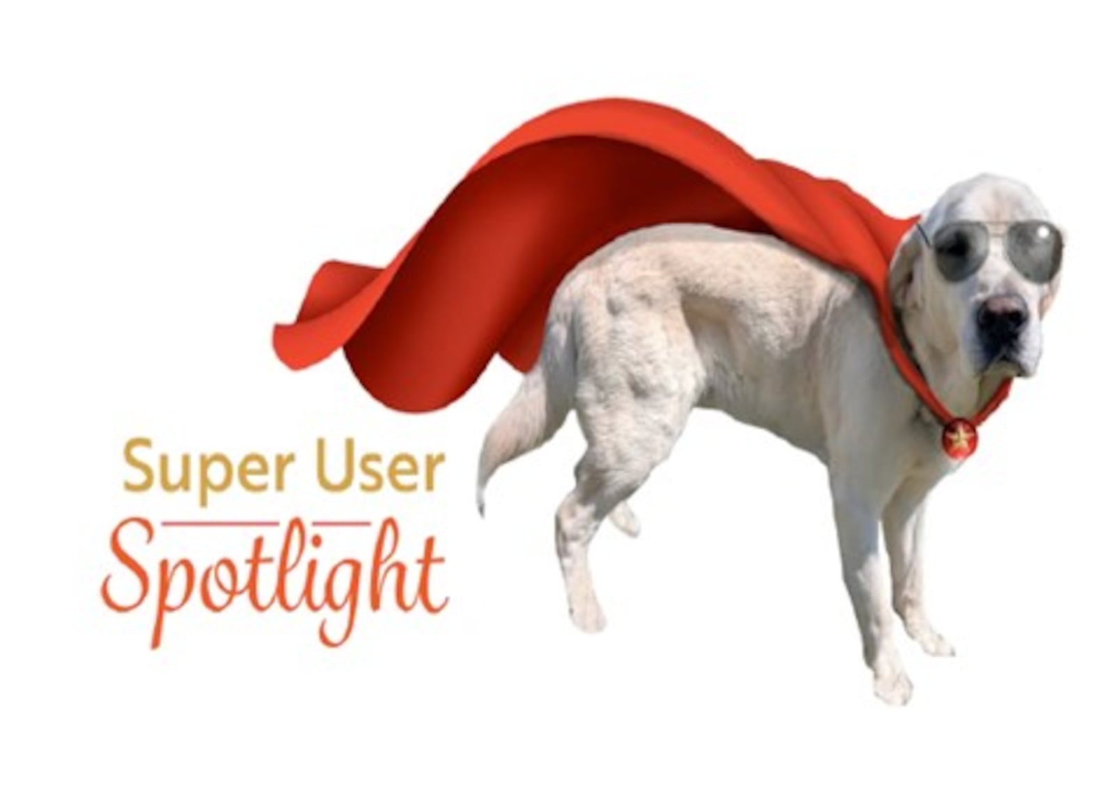 Korey, an eight-year-old golden labrador, in a marketing illustration for the Dayton VA Medical Center's electronic health records project. Korey is a service dog for a VA health informatics analyst, Joel Legawiec. Contributed.