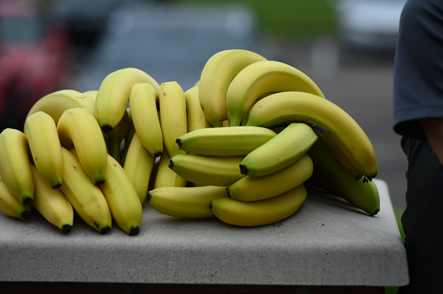 Savannah Bananas make a surprise visit to Nuxhall Miracle League in Fairfield