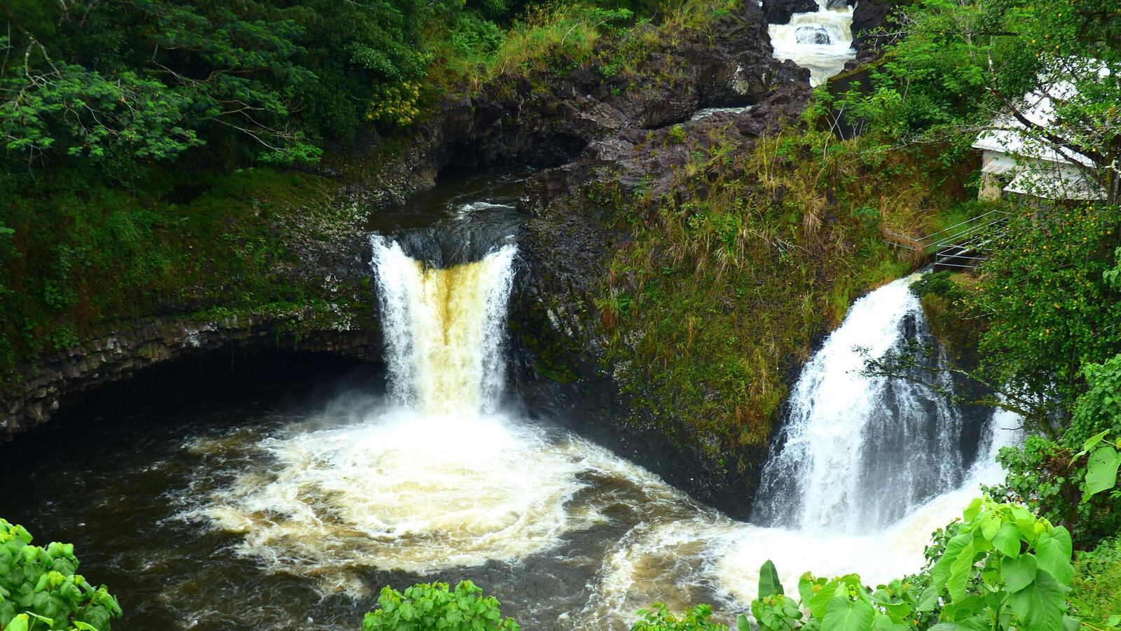 The twin falls of Ka`imu`kamaka Falls are seen from another private viewing deck during the Hawaii Forest &amp; Trail waterfall tour. (Brian J. Cantwell/Seattle Times/TNS)