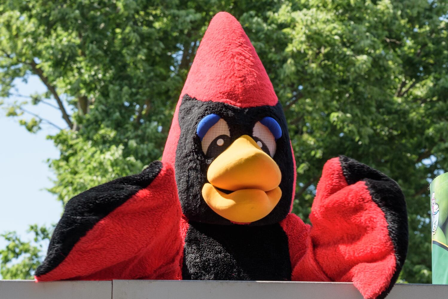 PHOTOS: Did we spot you at the 50th Centerville-Washington Twp. Americana Festival Parade?
