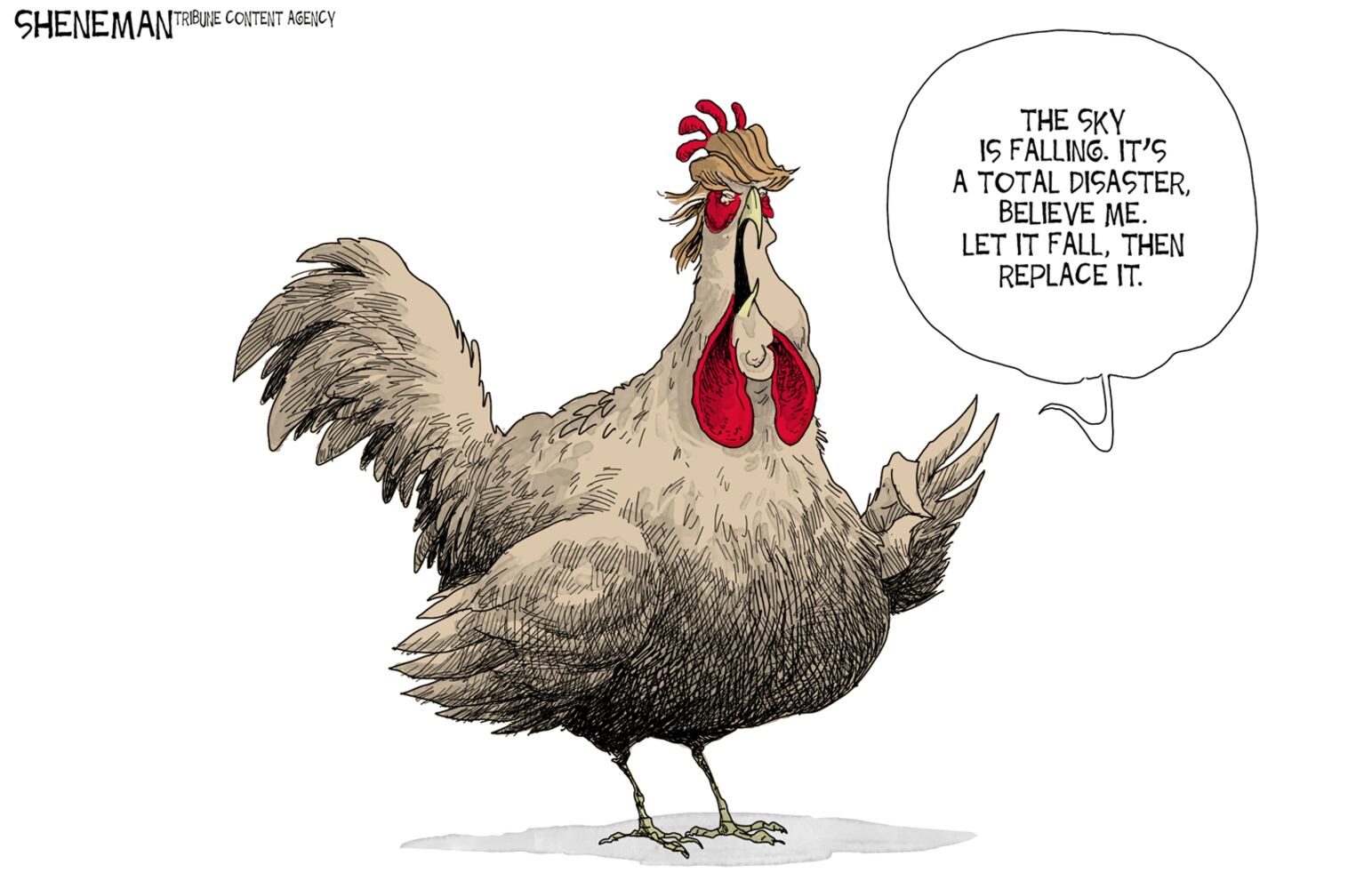 Today's cartoons 8/10