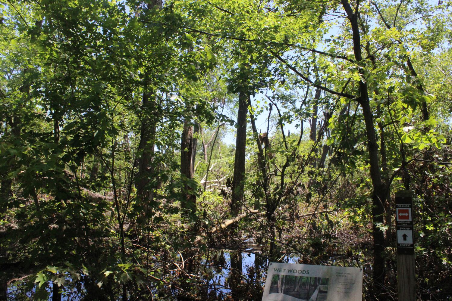 Photos: ‘extraordinary’ damage to parts of  Wegerzyn MetroPark, some parts mostly untouched
