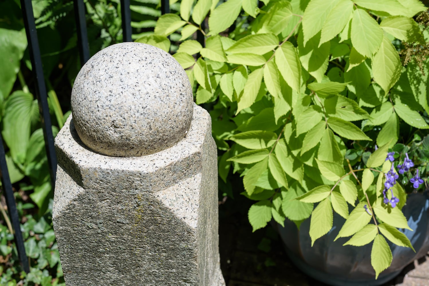 PHOTOS: 2025 Oregon Historic District Garden Tour