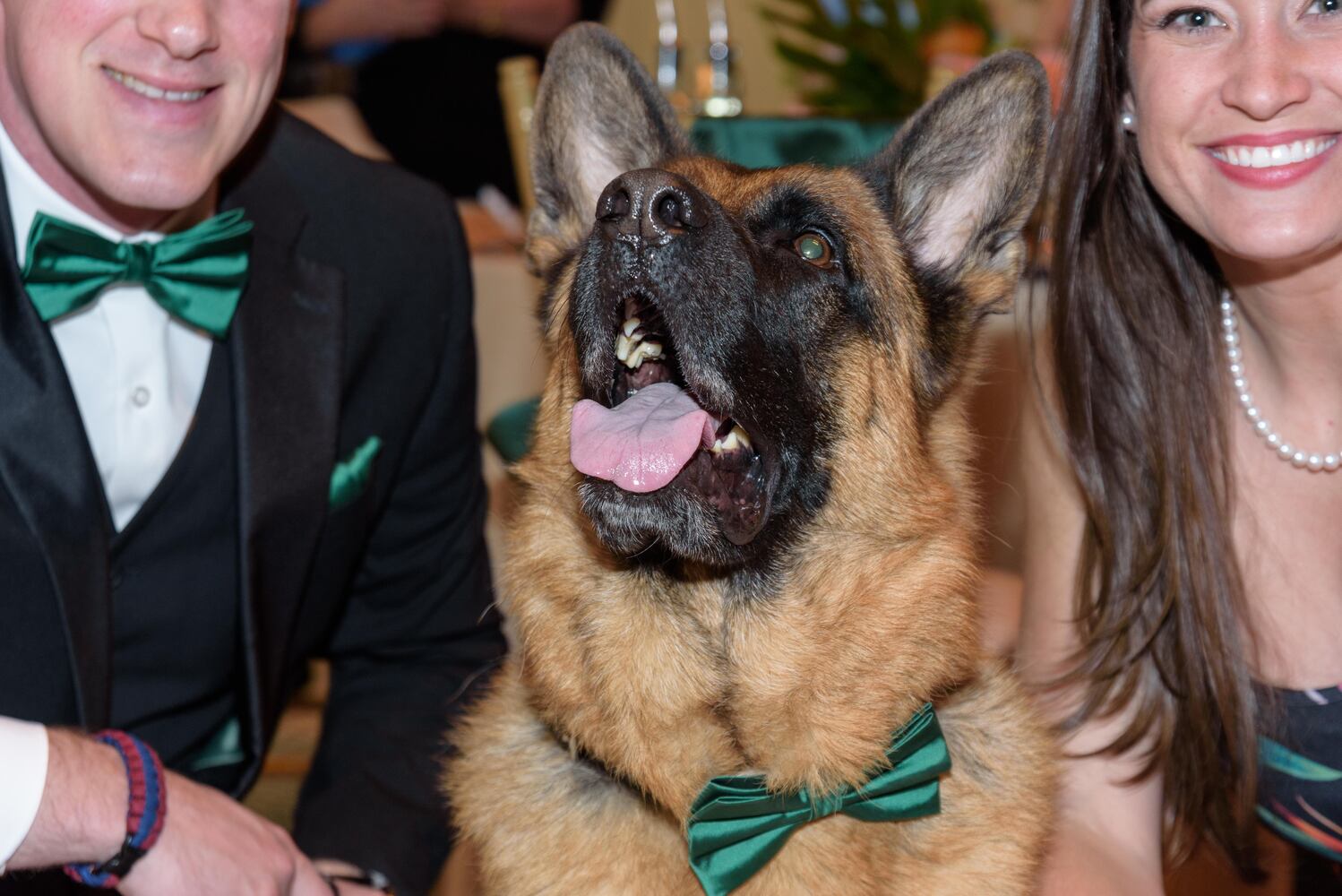 PHOTOS: Did we spot you at the Pet Afflaire Gala at the Dayton Arcade?