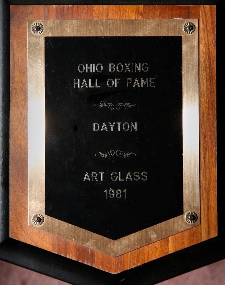 Boxer Art-Unbreakable-Glass