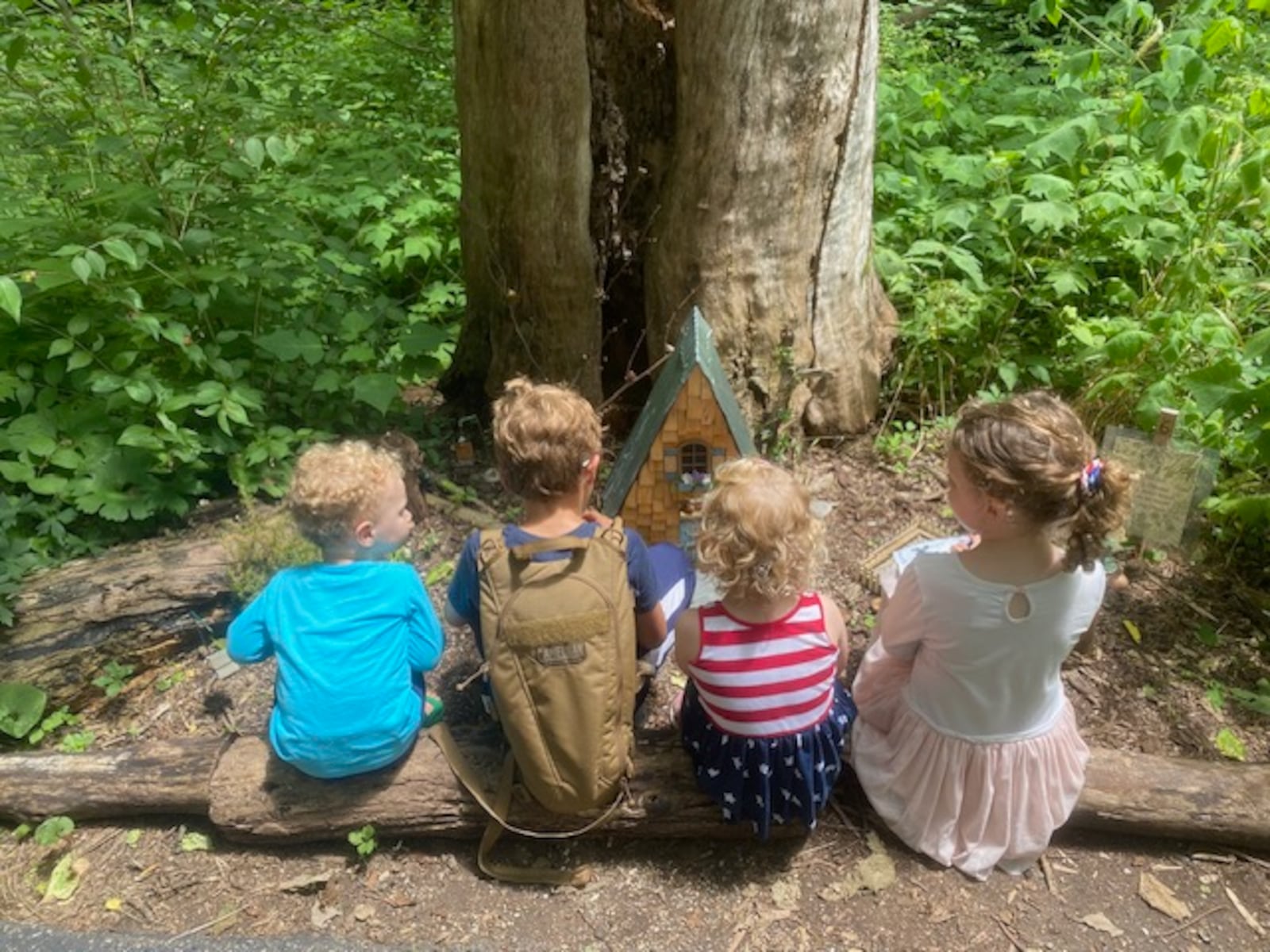 Children of all ages are fascinated by the faerie houses at Aullwood.
Contributed.