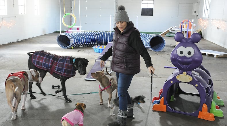 Maria Ochs, works with dogs at the Bahati & Freys Place located at 1825 Webster Street, Suite B. MARSHALL GORBY\STAFF