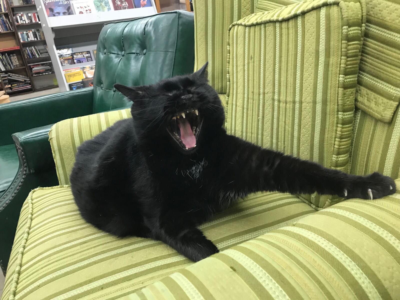 Mr. Eko, Dark Star Book's supervisor, stretches after a hard day's work.