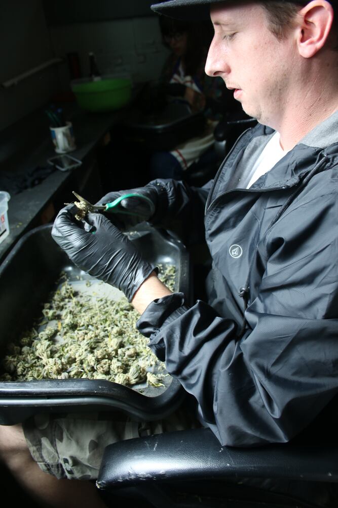 If Washington state is a model, Ohio’s pot sales will boom