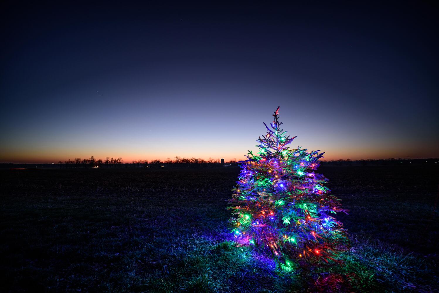PHOTOS: Holiday Lights dazzle at Lost Creek Reserve in Troy