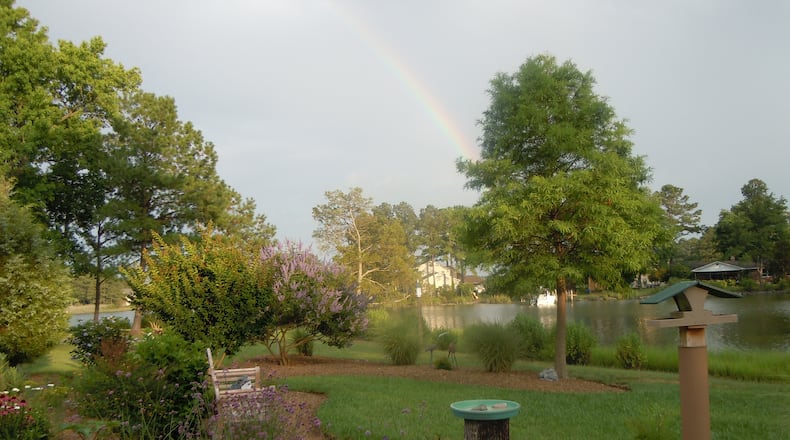 A well-mulched garden.