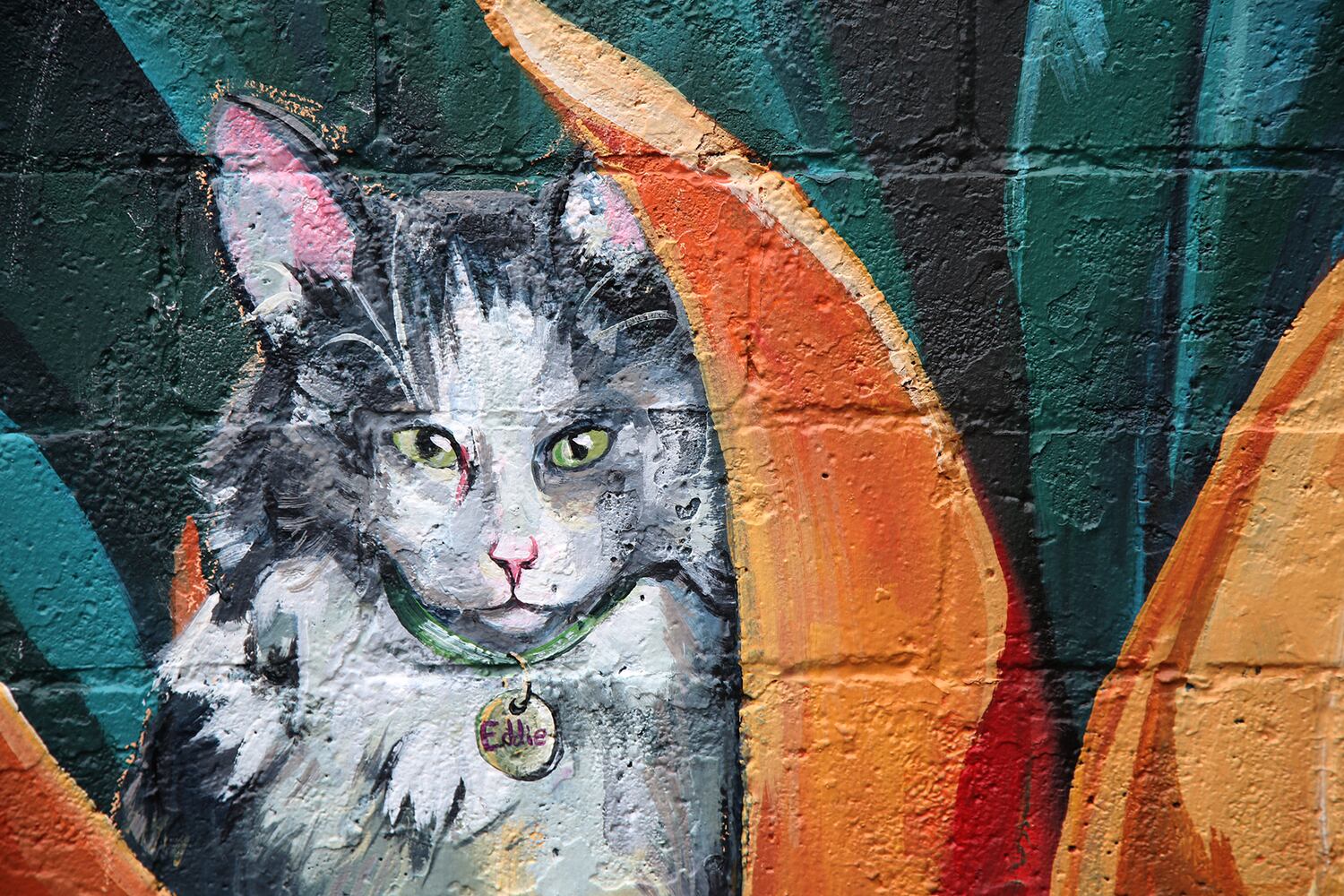 PHOTOS: Your fancy felines are subject of new downtown mural