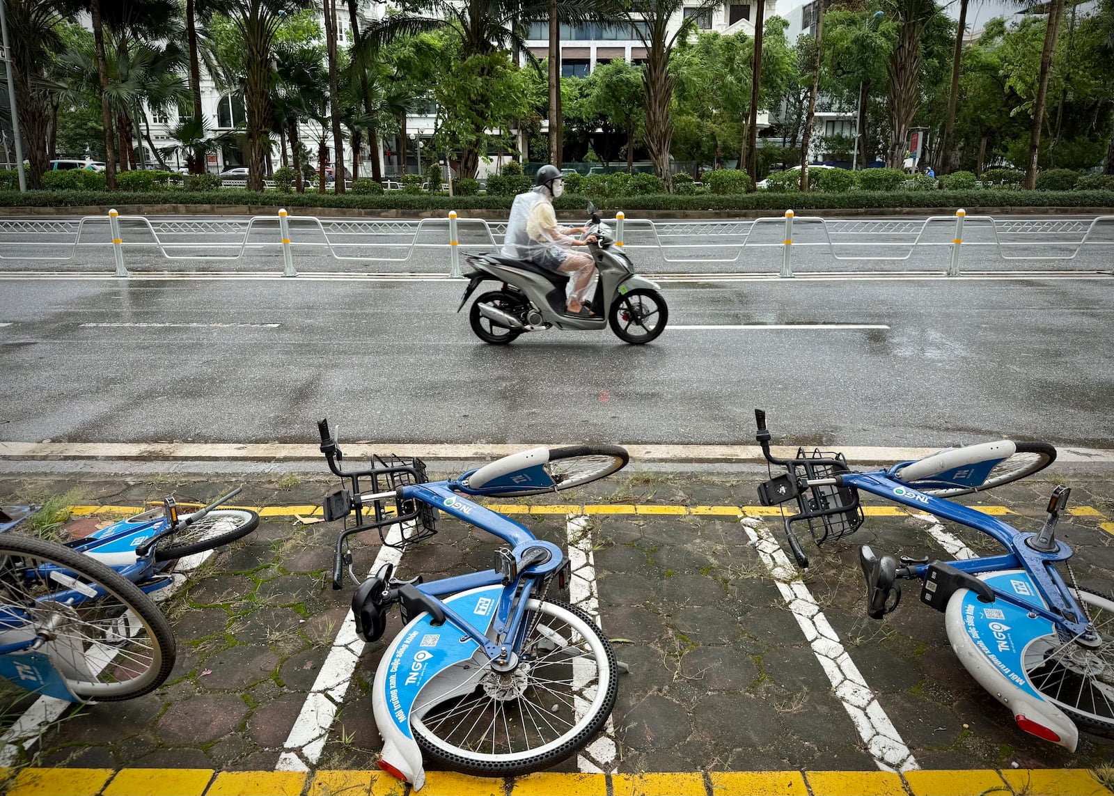 A motorcyclist drives past fallen bicycles in the rain caused by tropical storm Wipha in Hanoi, Vietnam on Tuesday, July 22, 2025. (AP Photo/Huy Han)
