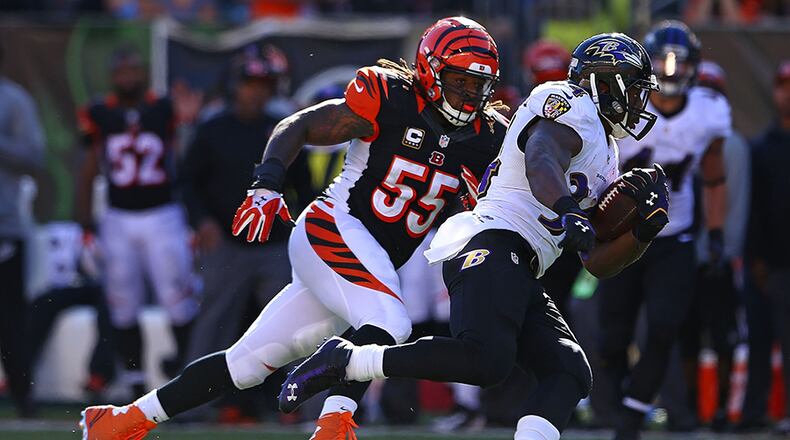 CINCINNATI, OH - OCTOBER 26 : Vontaze Burfict #55 of the Cincinnati Bengals pursues Lorenzo Taliaferro #34 of the Baltimore Ravens during the third quarter at Paul Brown Stadium on October 26, 2014 in Cincinnati, Ohio. (Photo by Andy Lyons/Getty Images)
