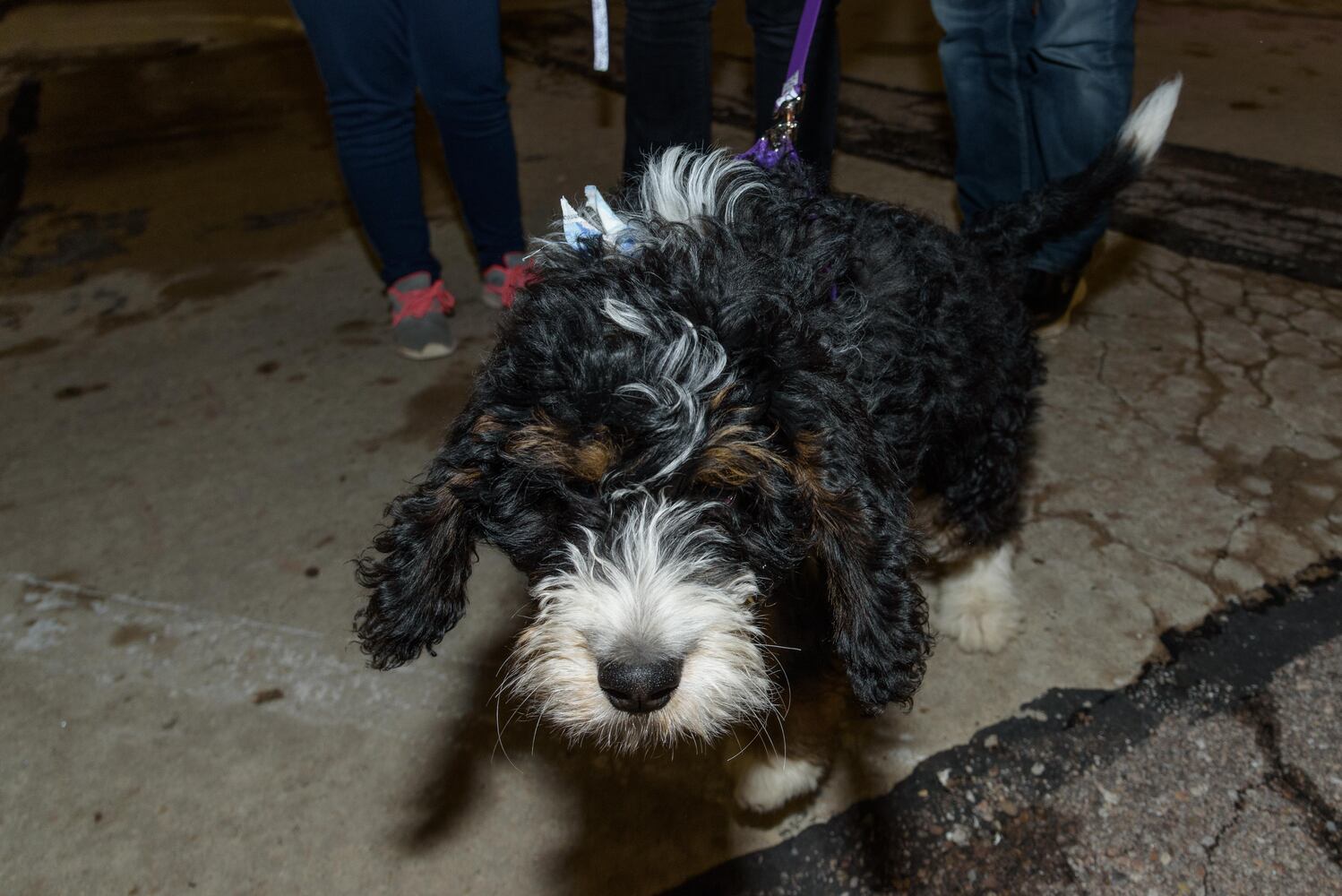 PHOTOS: Did we spot you at Frozen the 13th in downtown Fairborn?