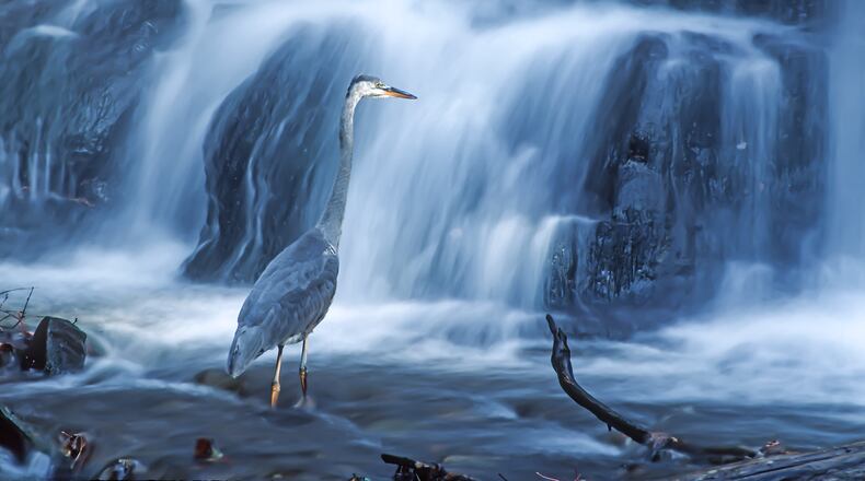 “Fishing at the Falls,” photo by Brother John Lemker