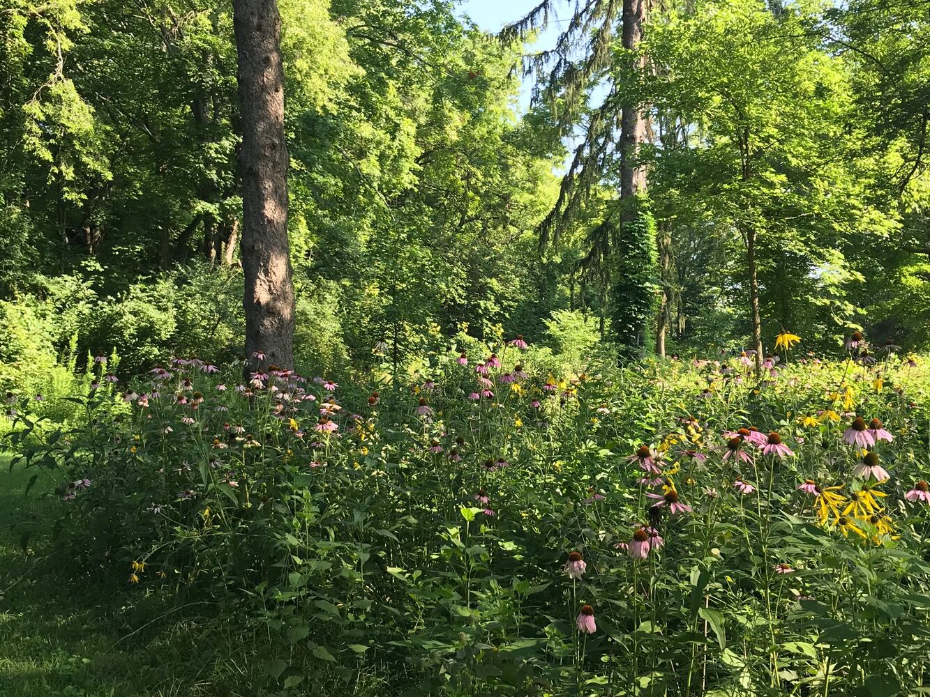 PHOTOS: This hidden park on the side of the road might be one of Dayton’s most peaceful spots