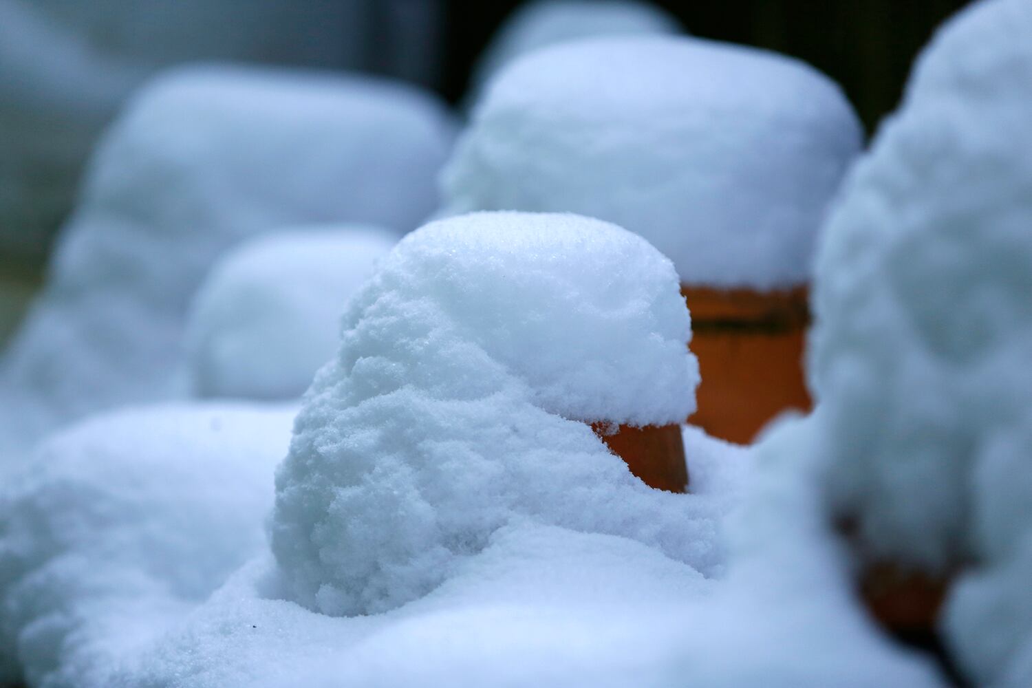 Snowy details and patterns