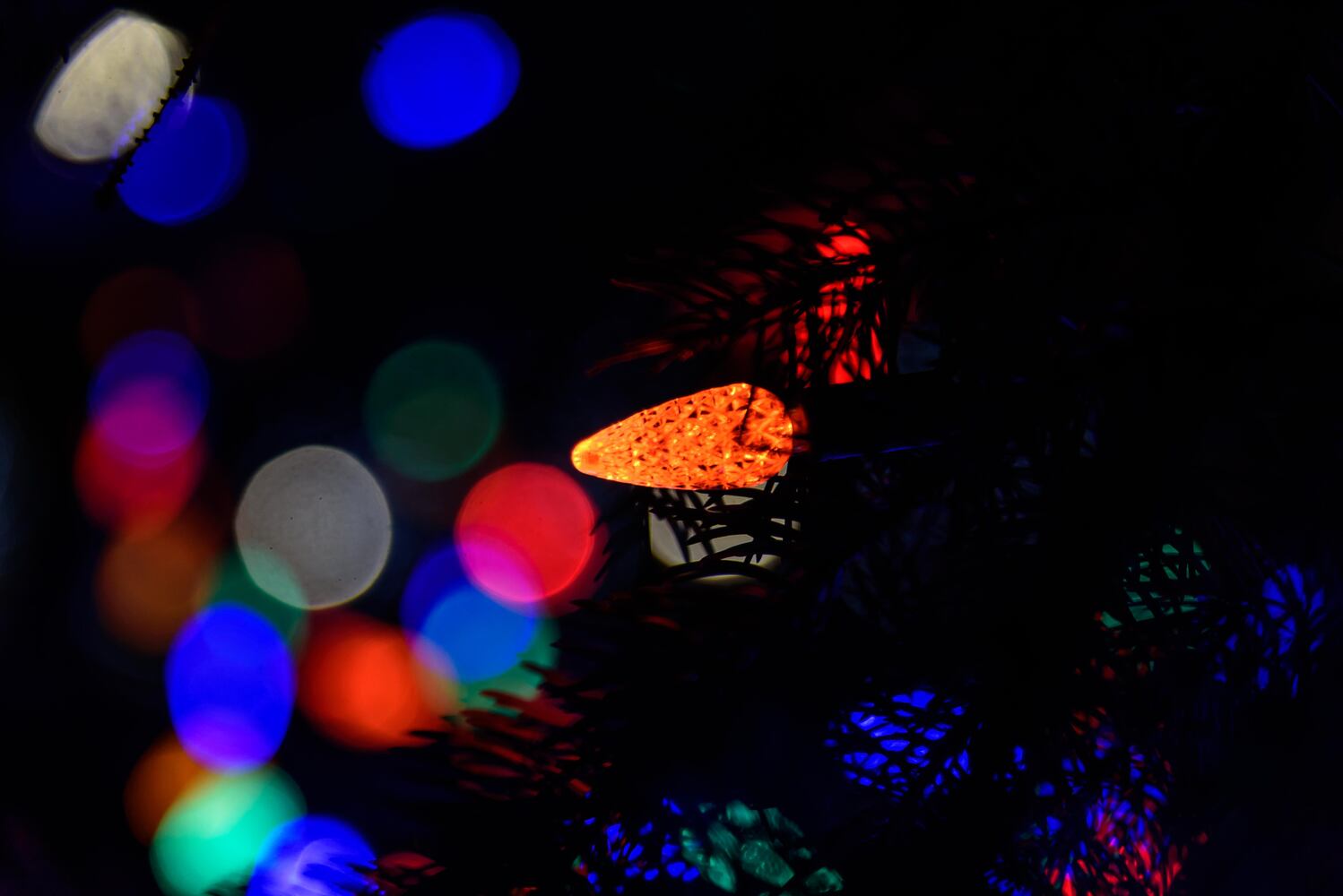 PHOTOS: Did we spot you at the Community Tree Lighting in downtown Tipp City?