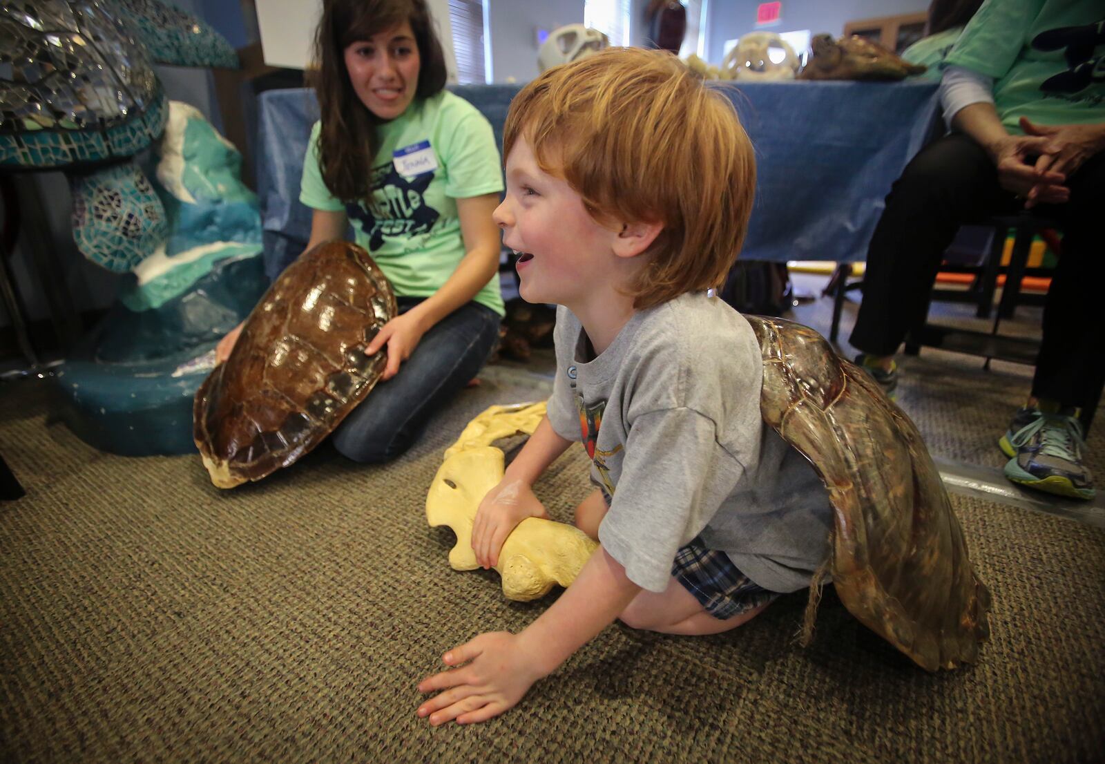 Jakob Kohles (age 5) of Jupiter tries on a green turtle shell at a Biofact Feel Station during Turtlefest at Loggerhead Marinelife Center in Juno Beach Saturday, March 28, 2015. (Bruce R. Bennett / The Palm Beach Post)