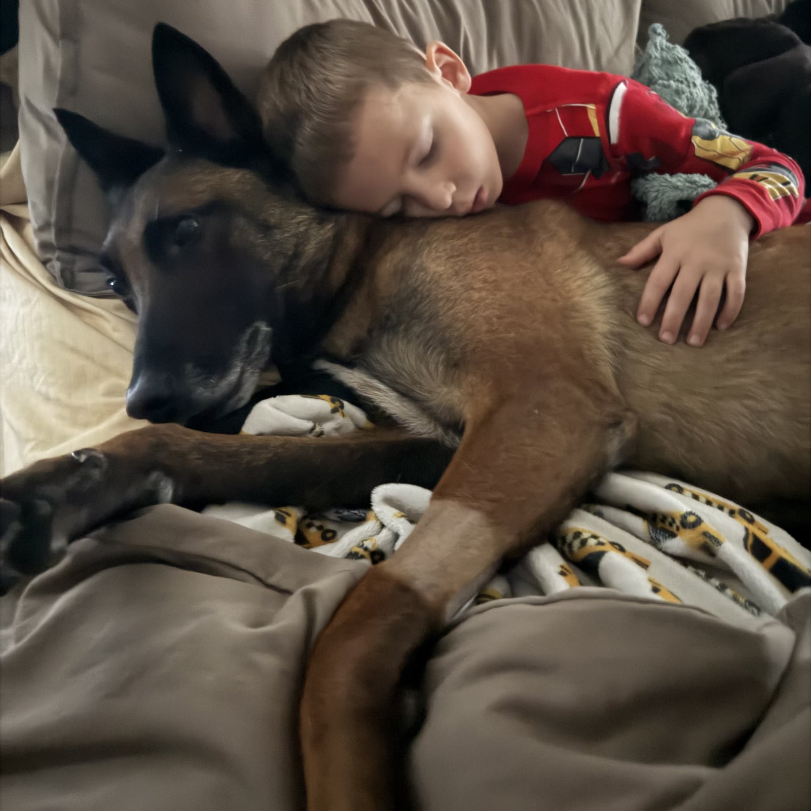 Declan, the six-year-old son of Dayton Police officer Nathan Speelman, hugs his pal, Scooby Doo, the Dayton Police dog handled by his dad. At the time Scooby Doo was in the latter stages of his cancer fight. He died Wednesday night. In the photo his left paw is shaved at the spot where he was receiving his chemotherapy treatment three days a week. CONTRIBUTED PHOTO