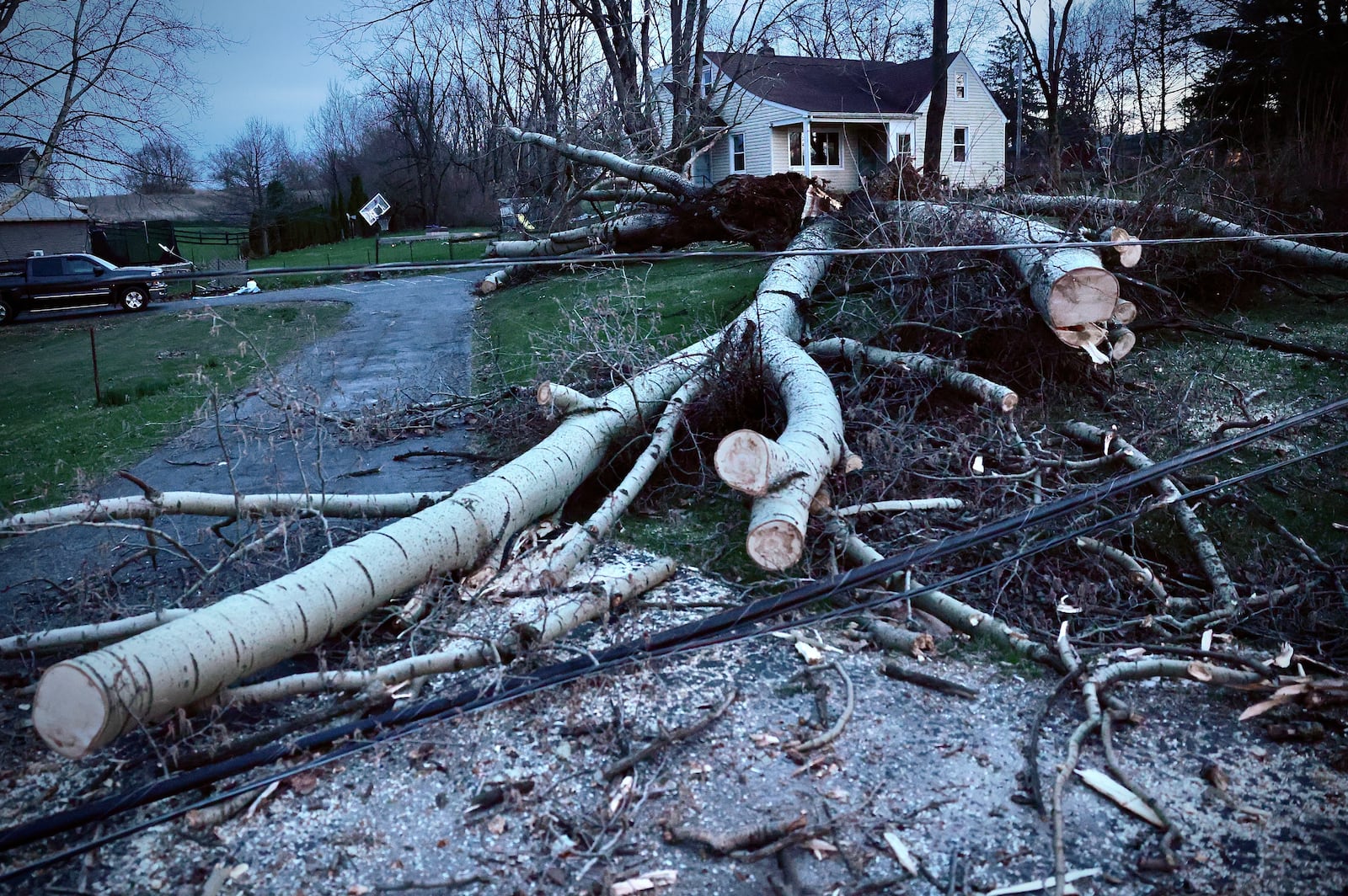 A large tree took out a couple of electric poles Sunday and had Dayton Road blocked between Springfield and Enon. BUCK CREEK PHOTOGRAPHY