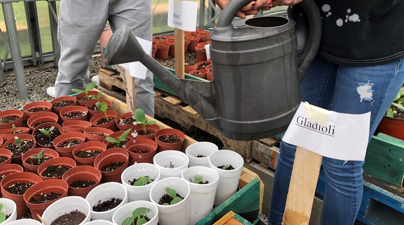 The Juvenile Court has a greenhouse to help kids connect with nature and learn life lessons. STAFF/BONNIE MEIBERS