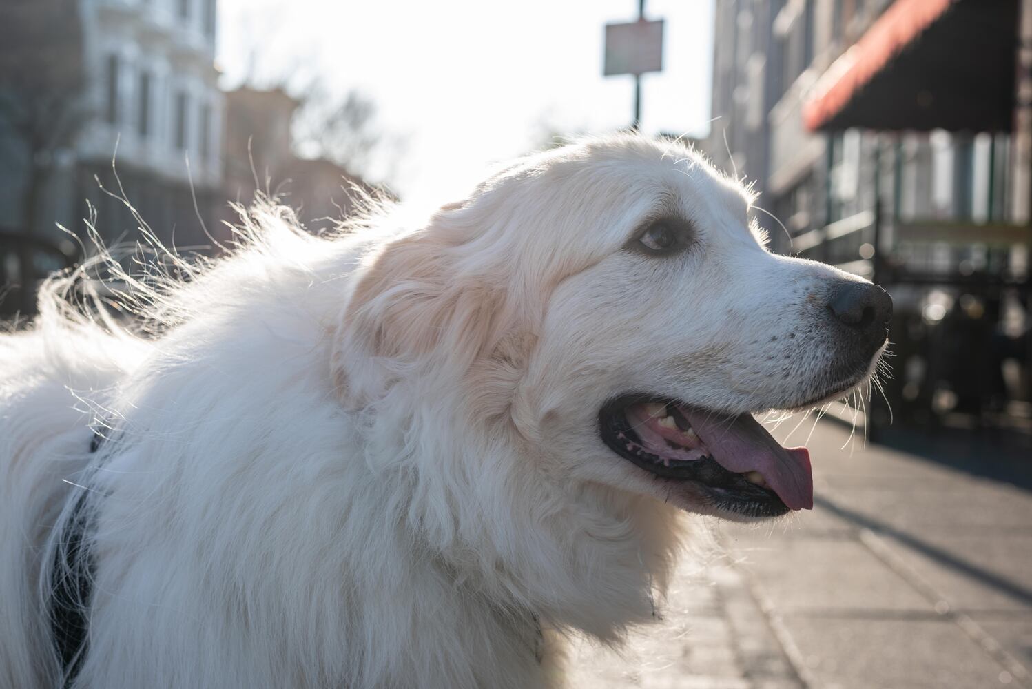 PHOTOS: Did we spot you at Out on 5th in The Oregon District?