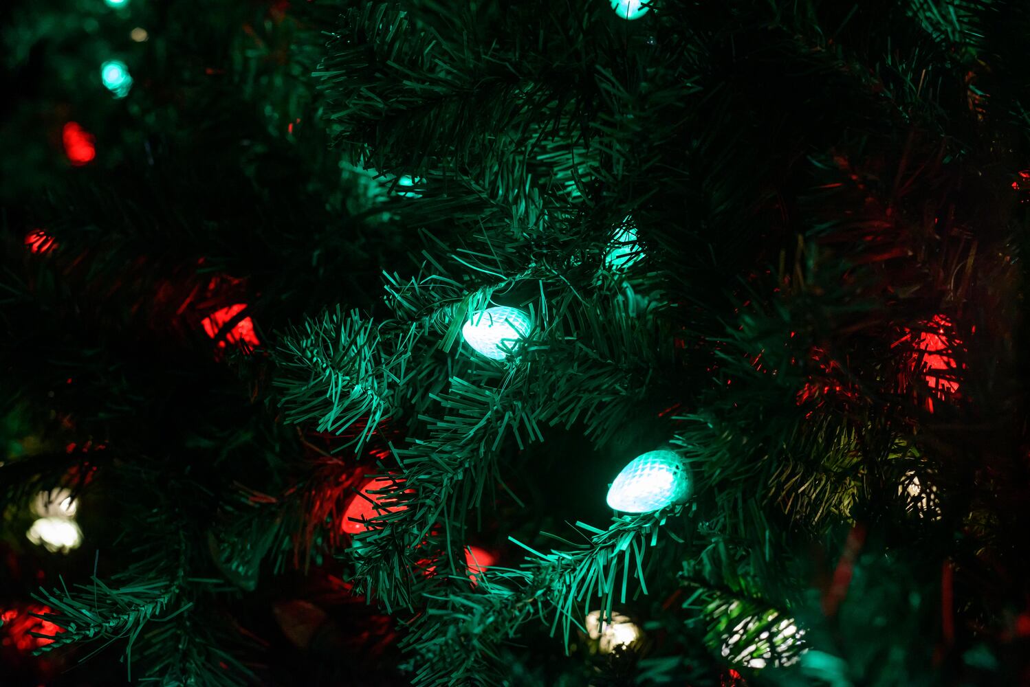 PHOTOS: Did we spot you at Austin Landing's Christmas Tree Lighting?