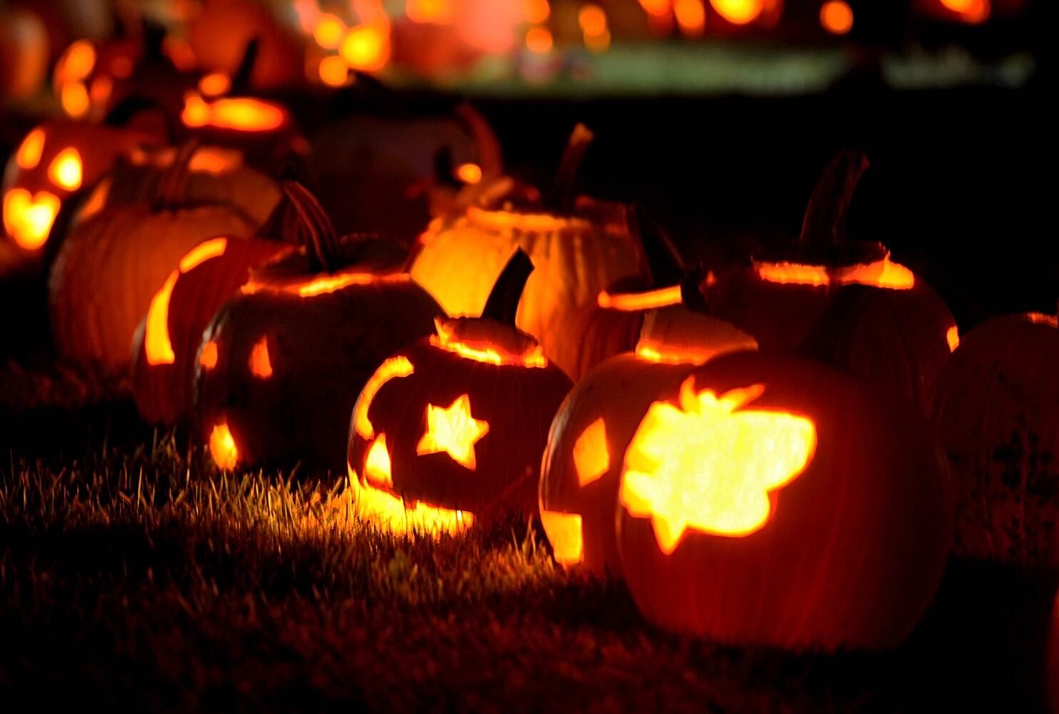 PHOTOS: Did we spot you at the Greene County Pumpkin Glow?