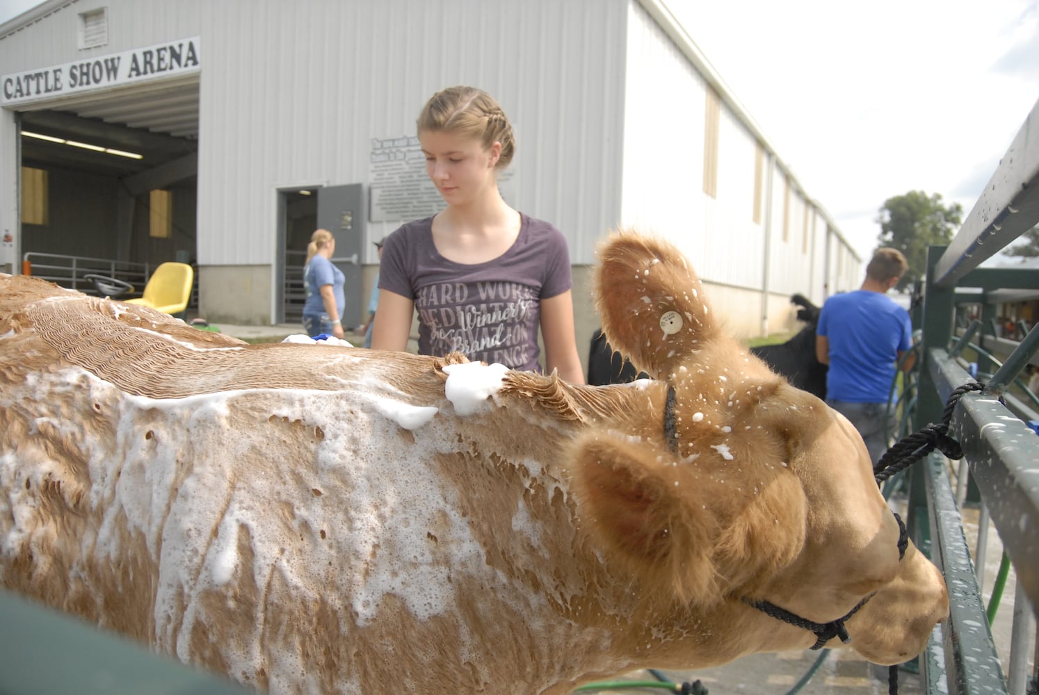 PHOTOS: Did we spot you at the Great Darke County Fair?