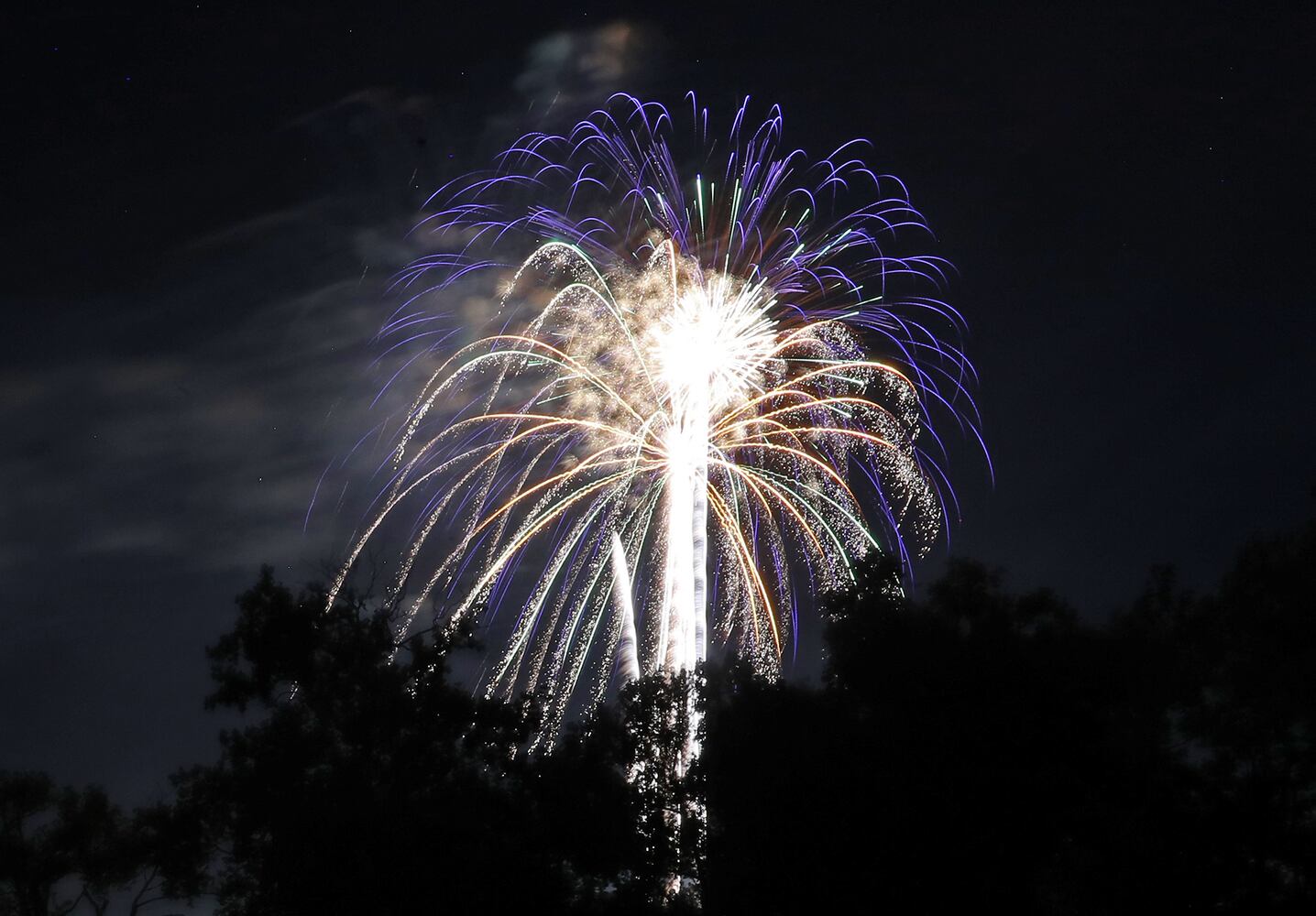 Springfield Fireworks SNS