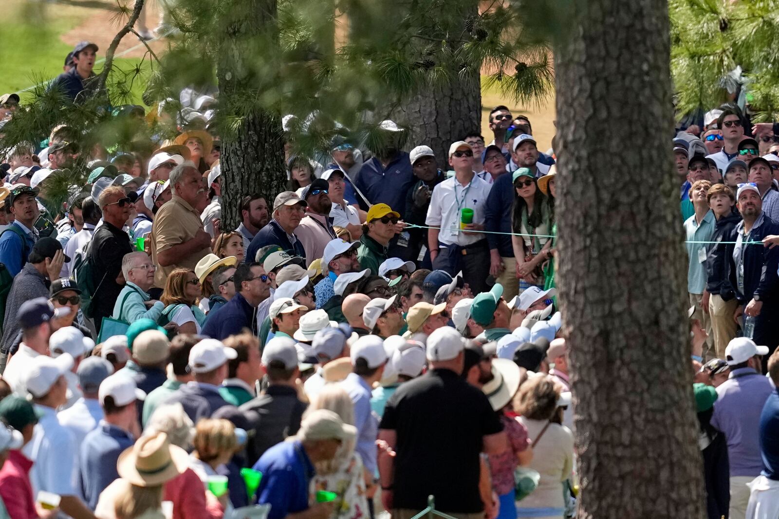 Rory McIlroy, of Northern Ireland, hits from the rough on the seventh hole during the third round at the Masters golf tournament, Saturday, April 12, 2025, in Augusta, Ga. (AP Photo/David J. Phillip)