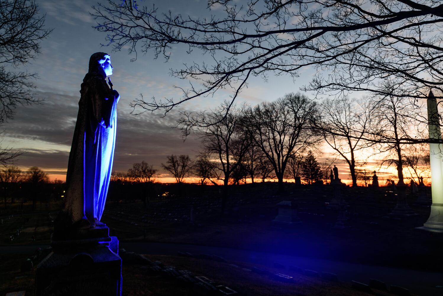 PHOTOS: Angel Night at Calvary Cemetery