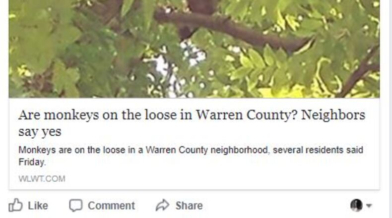 This Facebook page shows an image of what reports say are monkeys in trees in Lebanon.