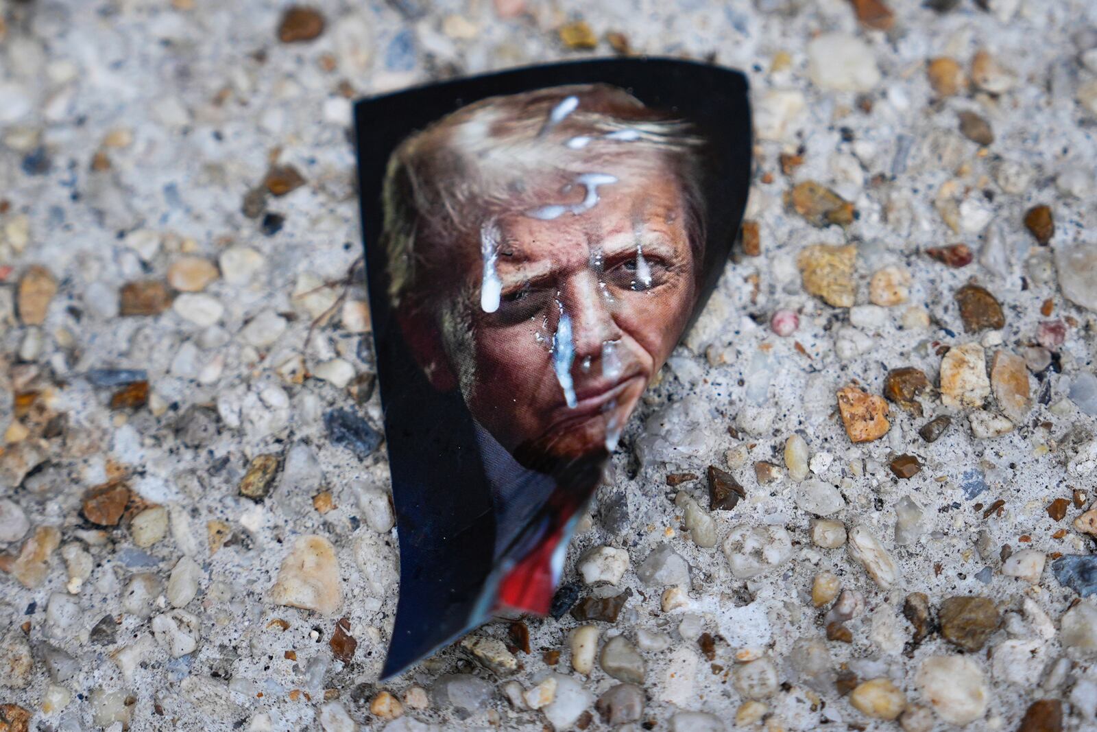 A picture of President Donald Trump lays on the ground near the White House ahead of an upcoming military parade commemorating the U.S. Army's 250th anniversary and coinciding with Trump's 79th birthday, Saturday, June 14, 2025, in Washington (AP Photo/Julia Demaree Nikhinson)