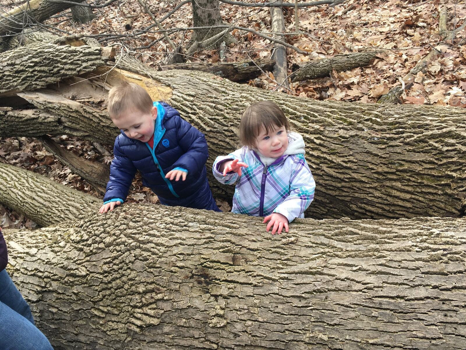 Kids having fun at the Miami County Park District. CONTRIBUTED