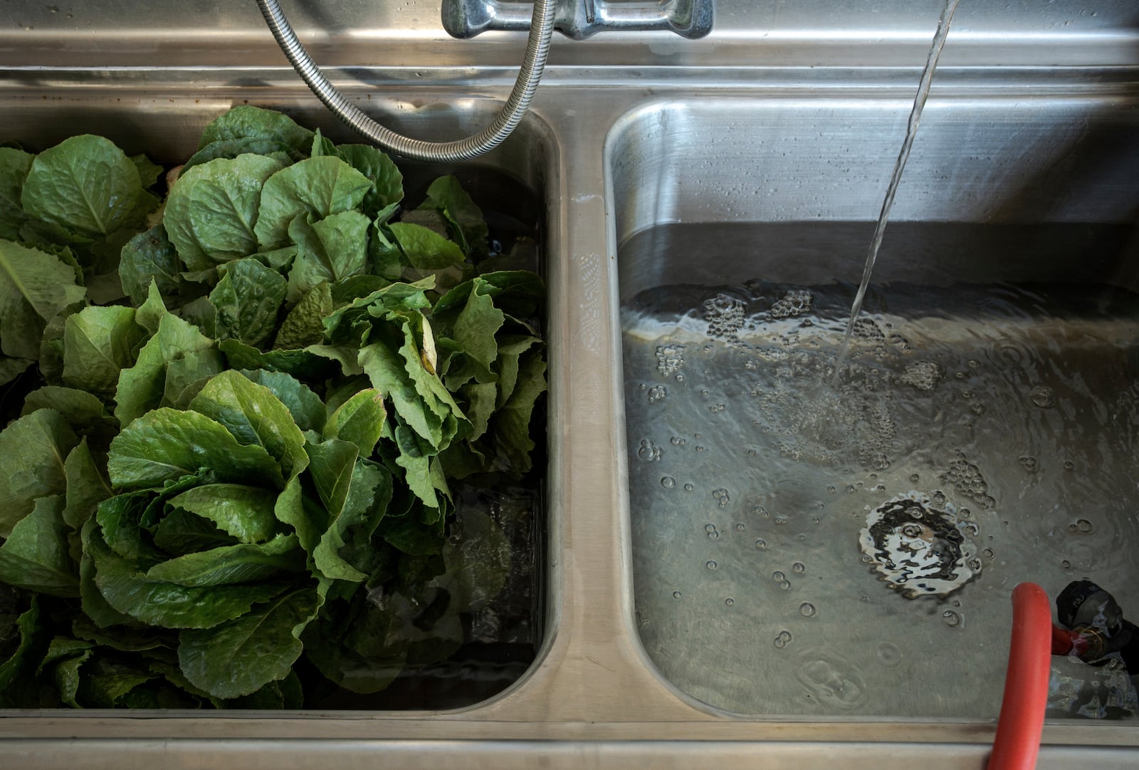 Lettuce is washed at Agritopia, a community nestled around a plot of agricultural land, April 22, 2025, in Gilbert, Ariz. (AP Photo/Annika Hammerschlag)