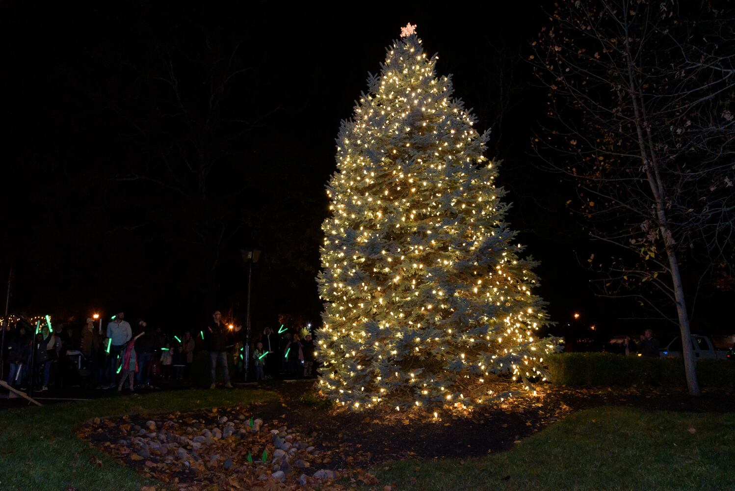 PHOTOS: Did we spot you at the Centerville Mayor's Tree Lighting at Benham's Grove?