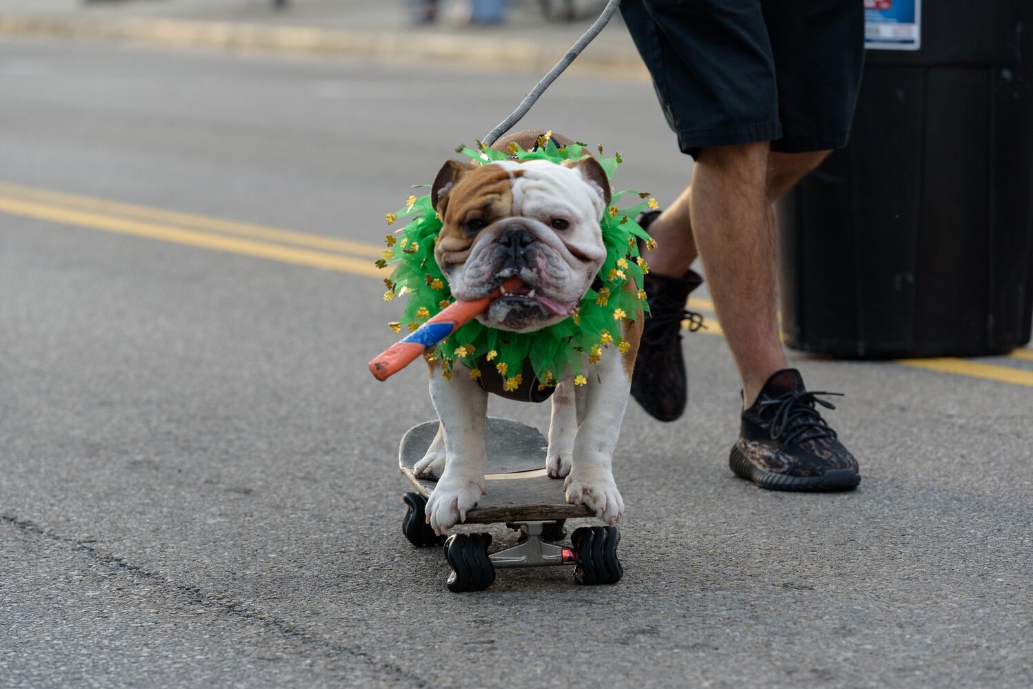 PHOTOS: Did we spot you at the St. Patrick's Day 3.1 Beer Run in Downtown Tipp City?