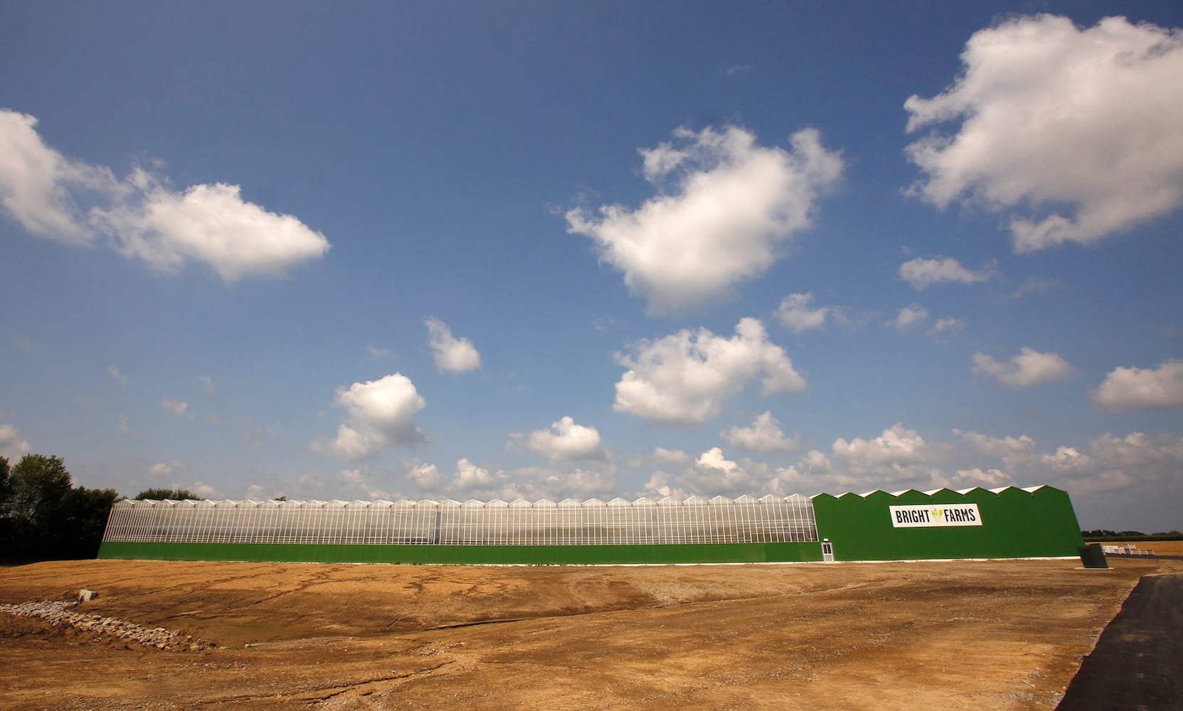 BrightFarms Ohio Greenhouse harvests first hydroponic greens in Wilmington