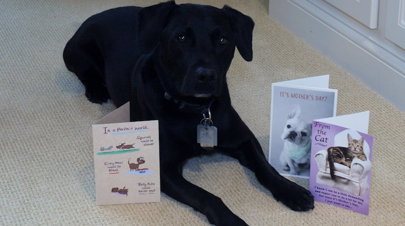 Teddy with Mother’s Day cards from years past. Abby, the cat, was unwilling to have her photo taken. KARIN SPICER/CONTRIBUTED